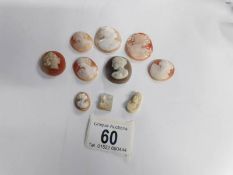 10 assorted shell and other cameos including vintage