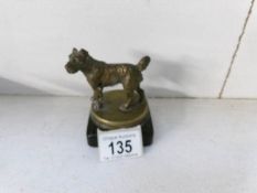 A bronze car mascot of a terrier dog