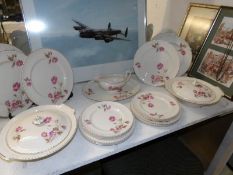 22 pieces of Johnson's rose patterned dinner ware