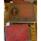 Four early 20th photograph albums – 1 religious, 1 “celebrities”, 2 travel.