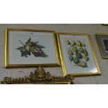 Pair gilt framed wall pictures – studies of pears & chestnuts