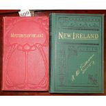 2 Books: A.M Sullivan. New Ireland. C. 1877 and The Mysteries of Ireland. C. 1884. (2)