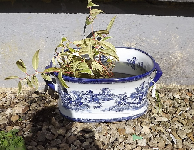 Blue and white ceramic planter.