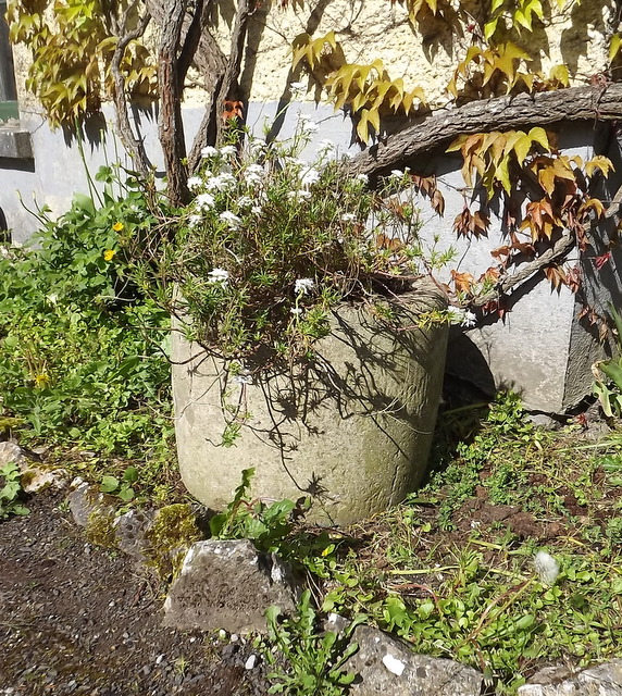 Sandstone planter.