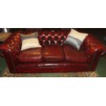 Three seater deep button ox blood leathe