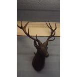 Bonze model of a stag's head. { 122cm H