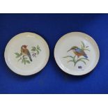 TWO MEISSEN ORNITHOLOGICAL PAINTED SMALL