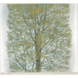 JOICHI HOSHI (1913-1979) SILVER 星襄一 銀  Colour on paper, framed, 15.4" x 14.2" — 39 x 36 cm.