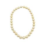 SINGLE GRADUATED STRAND OF GOLDEN SOUTH SEA PEARLS(12.0mm to 15.1mm) completed with a 14k yellow