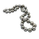 SINGLE GRADUATED STRAND OF TAHITIAN PEARLS(10.0mm to 12.7mm) completed with a 14k white gold clasp