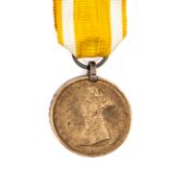 German States - Brunswick Waterloo medal 1815 (edge heavily impressed Friedr Mahlmann Ulh Esq).