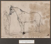 A pencil sketch of the horse Van Tromp by Major General Crealock, with artist’s initials in lower