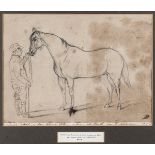 A pencil sketch of the horse Van Tromp by Major General Crealock, with artist’s initials in lower