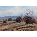 Brian Barlow. Rural landscapes. Pair. Oil on canvas. 49cm x 39cm each. Both signed.