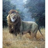 Simon Combes. "Simba". Ltd edition colour print. 42cm x 48cm.