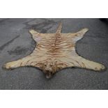 Full tiger's skin wall hanging/rug - 118