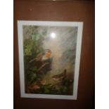 A Framed print "Robin & Wren" - signed A