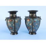 A Pair of Cloisonie Vases 19thC with Loz