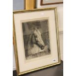 Framed and Glazed Black and White Engraving a Horse in a Stable signed in pencil to margin J C