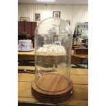 A Glass Dome on wooden plinth, 41cm