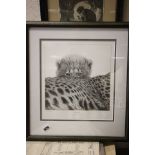 A Gary Hodges Signed Limited Edition Print Cheetah Cub