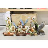 A Collection of Animal Figures on Wooden Plinths including owl, falcon, squirrels, one robin, two