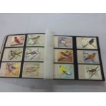 Photograph album with a quantity of bird postcards