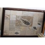 Large Framed Mosaic of Stone Squares with a Fossil of Fish to centre