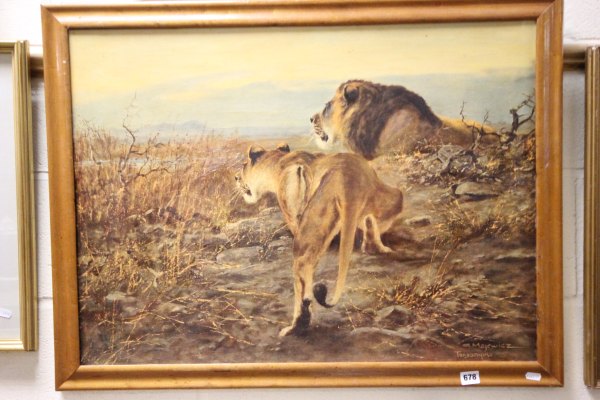 Picture of Lions by G Majewicz