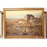 Picture of Lions by G Majewicz