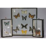 Three Cased Sets of Butterflies