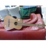 Accoustic Guitar