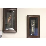 Two Framed and Glazed Pictures of Birds made from Feathers
