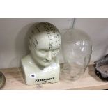 Ceramic Phrenology Head and a Glass Head