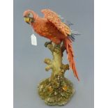 Figure of a Red Parrot