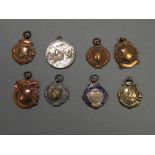 Collection of Silver and Other Medals