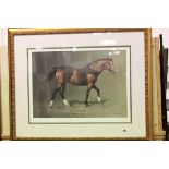 Framed and Glazed Signed Print of Race Horse 'Northern Dancer' signed in pencil by the artist S L