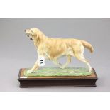 Albany Fine Bone China Model of a Golden Retriever on Wooden Plinth