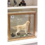 Royal Doulton Golden Retriever on Wooden Plinth contained within a Glass Display Cabinet