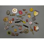 Collection of Badges, Tie Pins, etc