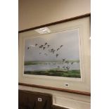 Peter Scott Bird Print, Ducks in Flight, signed in pencil