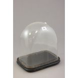 Victorian Glass Dome on Wooden Stand