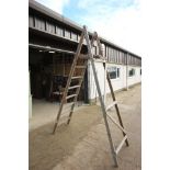 Large Rustic Step Ladder