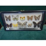 F/g collection of 10 Butterflies,