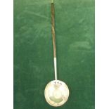 Georgian period silver c1820 Toddy Ladle on a whale bone turned handle with silver top, inset