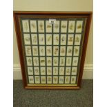 Unusual framed set of Cigarette Cards, Alice in Wonderland, by Carreras Limited 48 cards