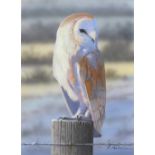 Alan WESTON (b.1951) Gouache Barn Owl on a post Signed 7.25” x 5.25” (18.4cm x 13.3cm)