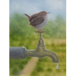 Alan WESTON (b.1951) Gouache & acrylic on board Wren on a garden tap Signed 8” x 6” (20.3cm x 15.