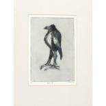 Christine EATWELL Black & white etching ‘Bird III’ Signed numbered 6/10 & inscribed in pencil Signed