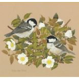 Shirley Ann JOHNSON  Watercolour with bodycolour ‘Coal Tits on a wild rose’ Inscribed on label Circa